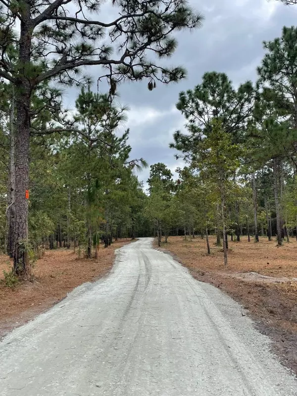 Cross, SC 29436,0 Hwy 45