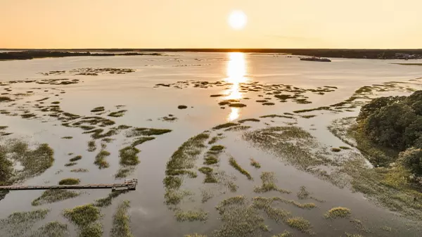 Wadmalaw Island, SC 29487,1358 Polly Point Rd