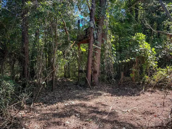 Moncks Corner, SC 29461,1 Hard Pinch Rd