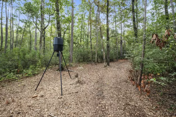 Moncks Corner, SC 29461,334 Bay Village Ln