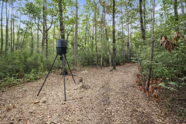 Moncks Corner, SC 29461,334 Bay Village Ln