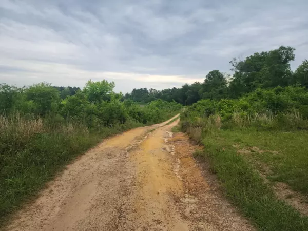 Allendale, SC 29810,551 Gravel Hill Rd