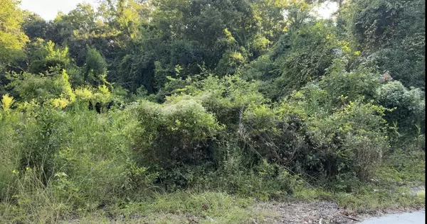 Walterboro, SC 29488,909 Black St