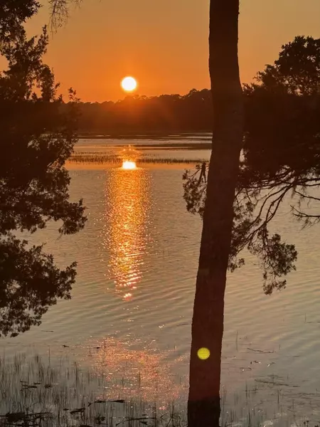 125 Jungle Rd, Edisto Island, SC 29438