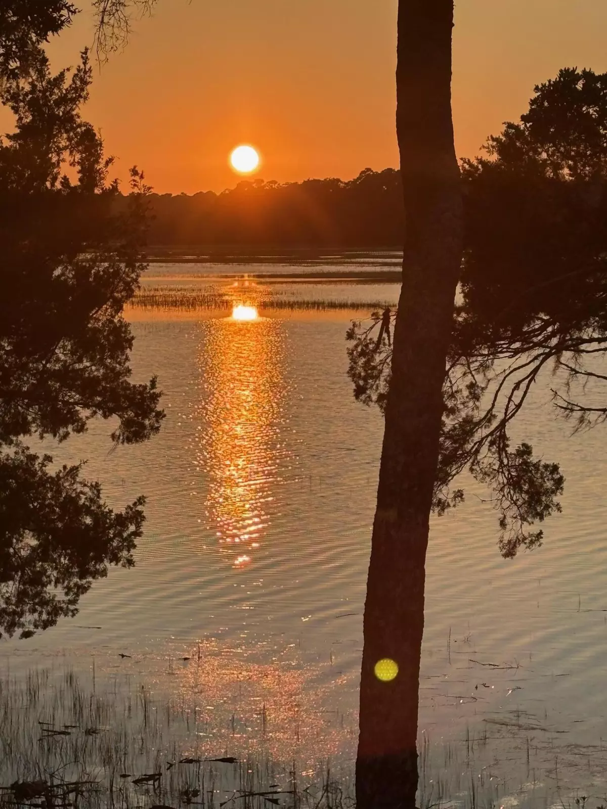 Edisto Island, SC 29438,125 Jungle Rd