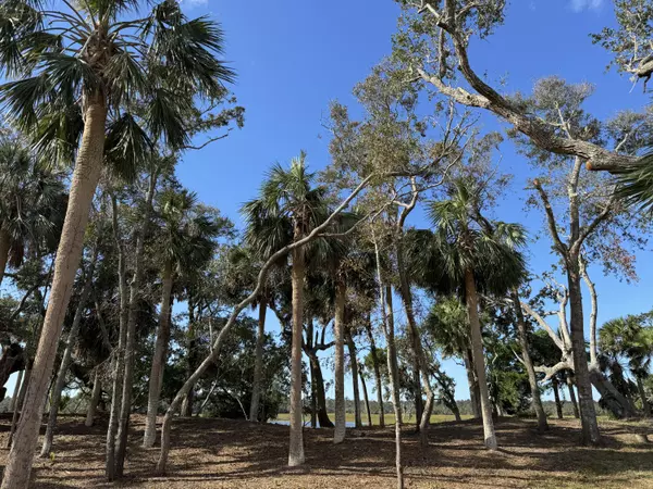 Edisto Island, SC 29438,125 Jungle Rd