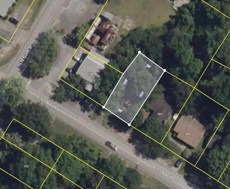 Summerville, SC 29483,305 E 1st N St