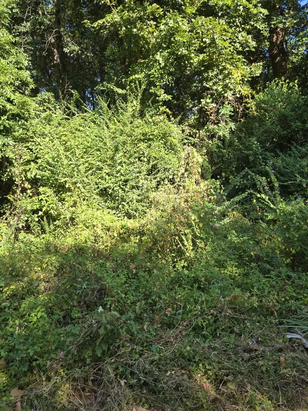 0 Anna St, Orangeburg, SC 29115