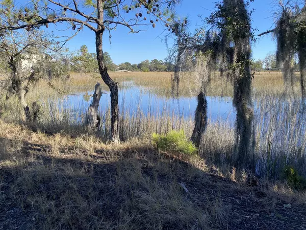 Yonges Island, SC 29449,6444 St Anthony Dr