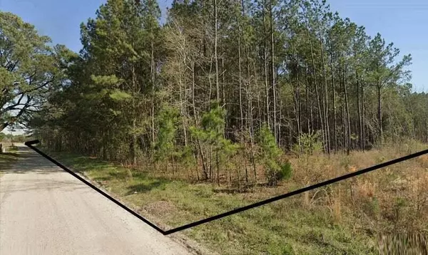 Eutawville, SC 29048,0 Bonanza Dr