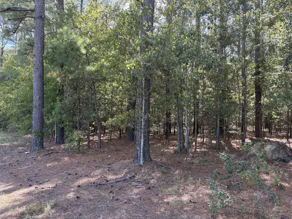 Cope, SC 29038,000 Slab Landing Rd