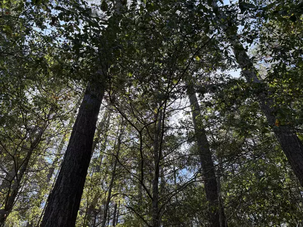 Cope, SC 29038,000 Slab Landing Rd