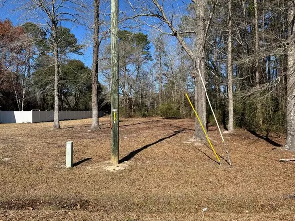 0 Mary Ellie Dr, Summerville, SC 29483