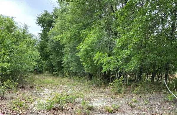 North, SC 29112,00 Salley Road