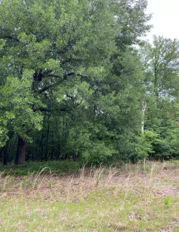 North, SC 29112,00 Salley Road