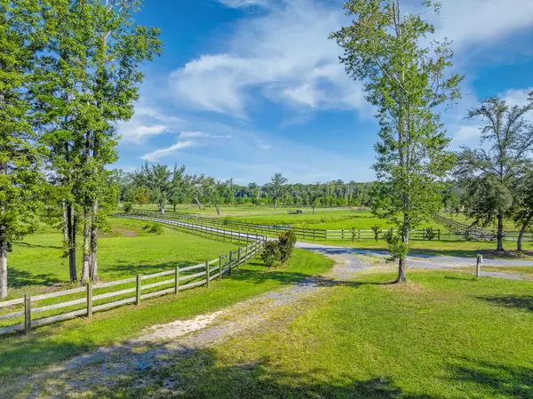 Ravenel, SC 29470,8275 Highway 165