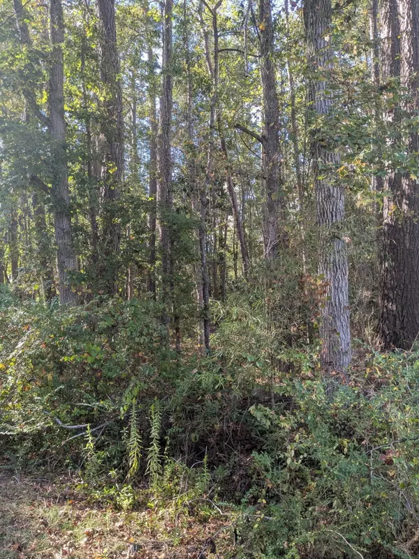 Jamestown, SC 29453,00 Arthur St