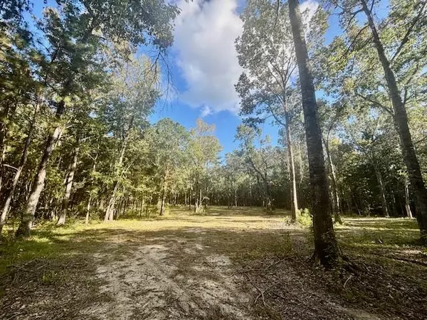 Saint Stephen, SC 29479,432 River Bluff Trl