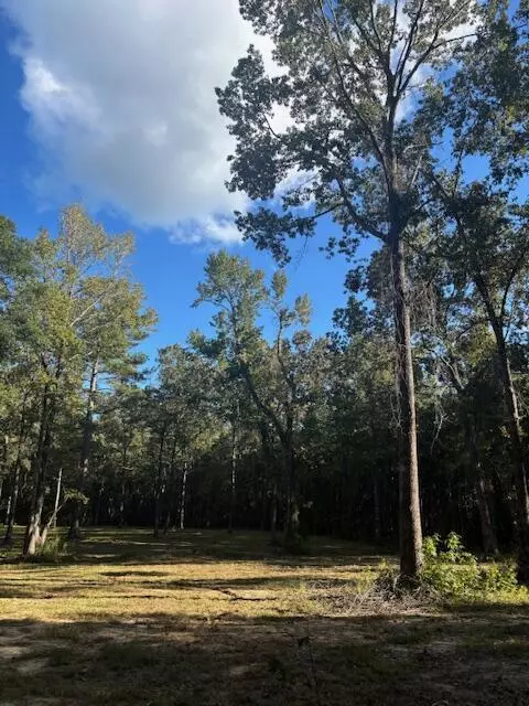 Saint Stephen, SC 29479,432 River Bluff Trl