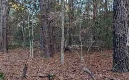 1981 Liberia Rd, Wadmalaw Island, SC 29487