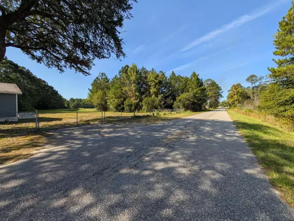 Walterboro, SC 29488,1029 Brittlebank Rd