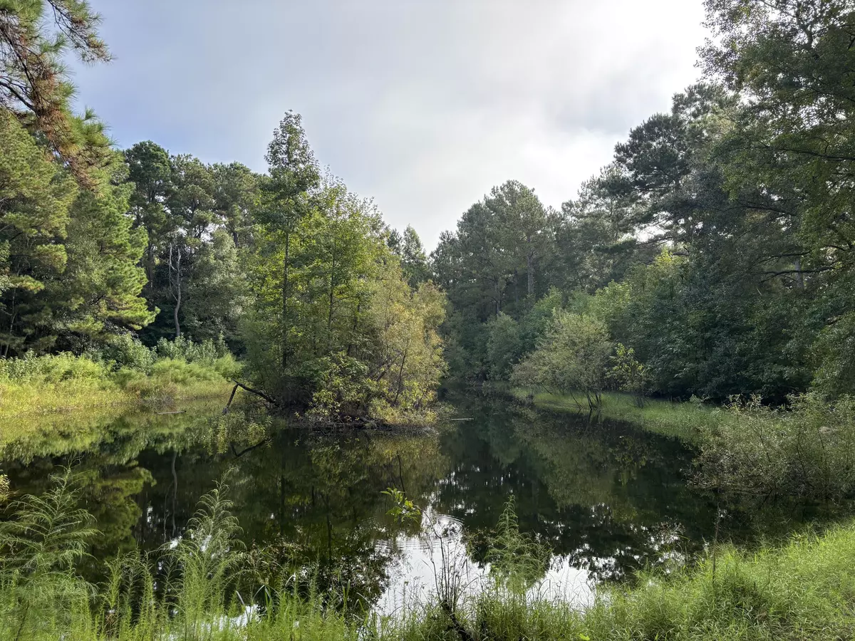 Awendaw, SC 29429,0 Providence Cir
