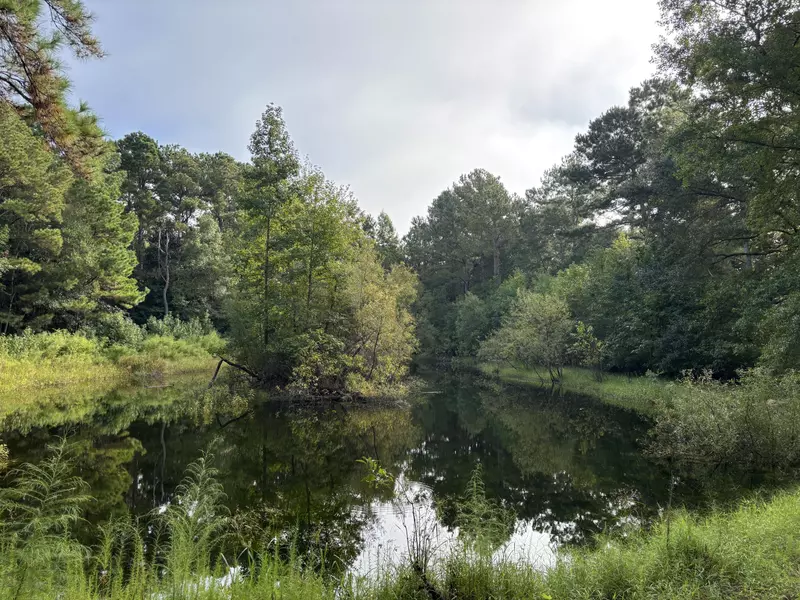 0 Providence Cir, Awendaw, SC 29429