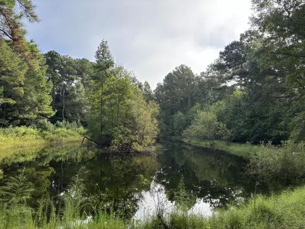 0 Providence Cir, Awendaw, SC 29429