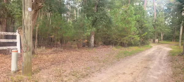 Edisto Island, SC 29438,0 Cotton Bay Ct #Lot 1b-B