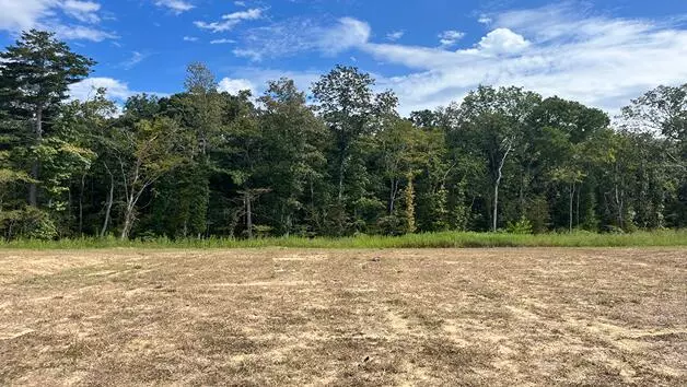 Moncks Corner, SC 29461,454 Tulip Poplar Dr