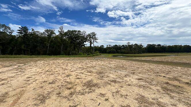 Moncks Corner, SC 29461,464 Tulip Poplar Dr