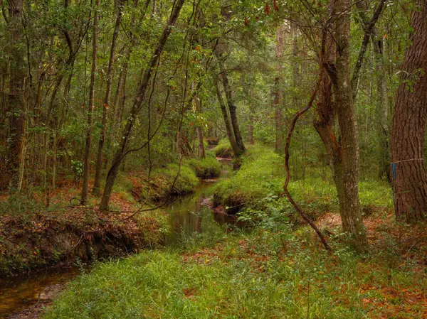 Awendaw, SC 29429,746 Wilson Cemetery Rd