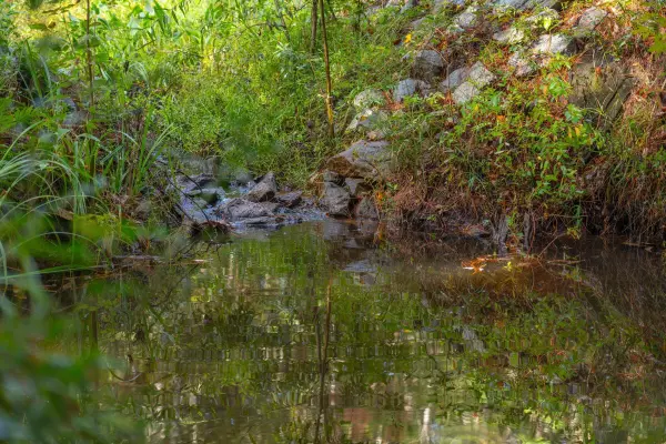 Awendaw, SC 29429,746 Wilson Cemetery Rd