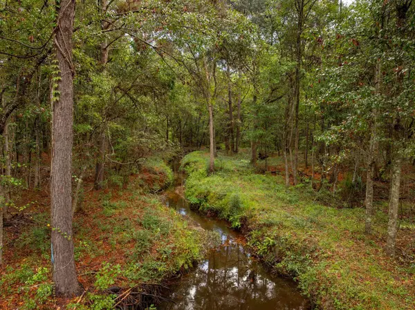 Awendaw, SC 29429,736 Wilson Cemetery Rd