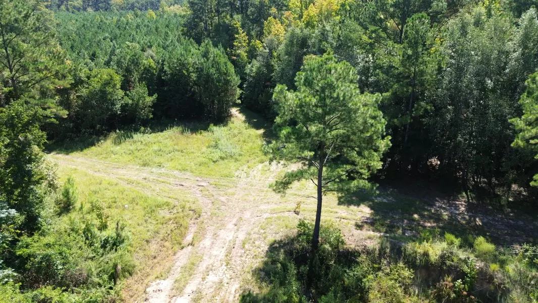 1 Lowcountry Hwy, Ruffin, SC 29475