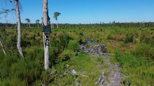 Ruffin, SC 29475,0 Hwy 63