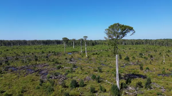 Ruffin, SC 29475,0 Hwy 63