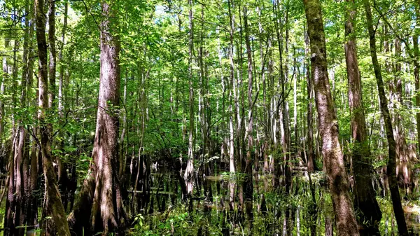Georgetown, SC 29440,1401 Lambert Loop