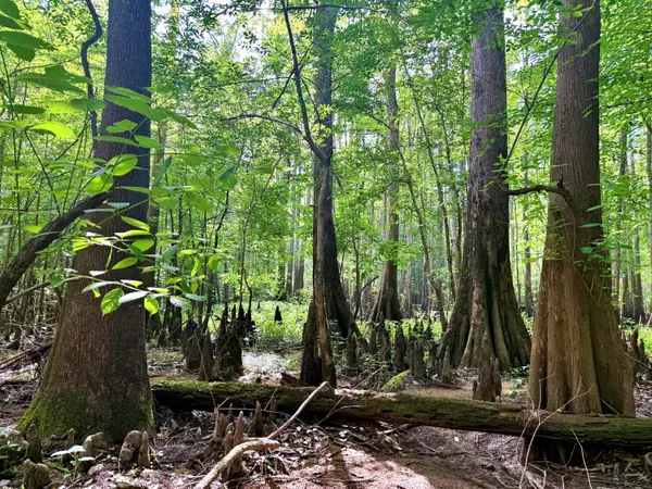 Georgetown, SC 29440,1401 Lambert Loop