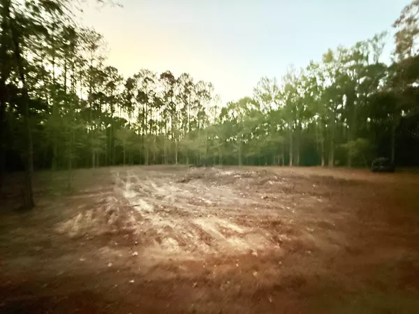 Moncks Corner, SC 29461,195 Melrose Pl