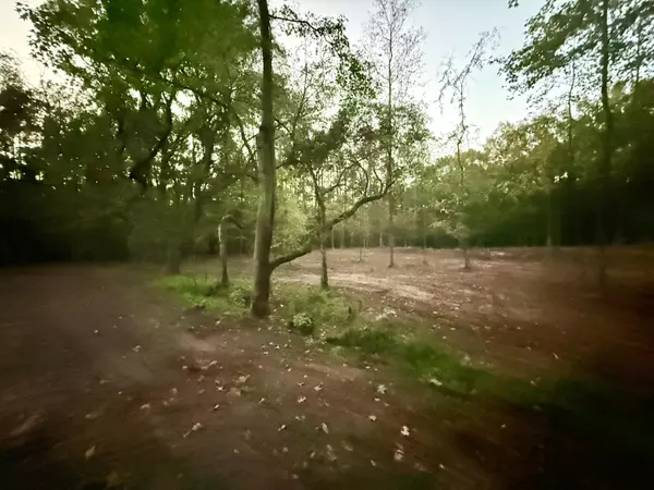 Moncks Corner, SC 29461,191 Melrose Pl