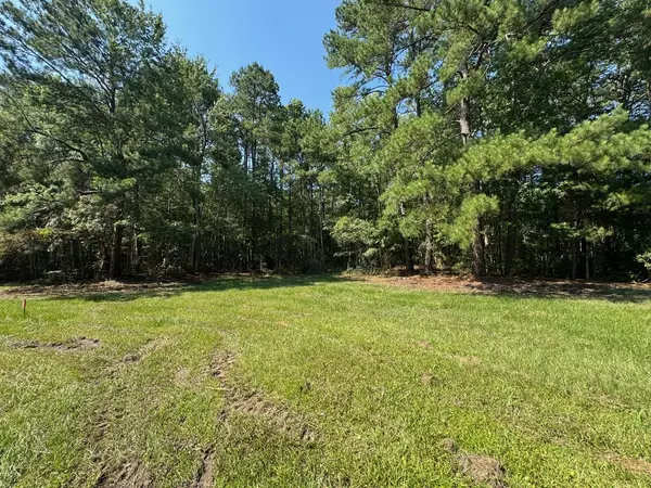 Ridgeville, SC 29472,0 Fish Road #2