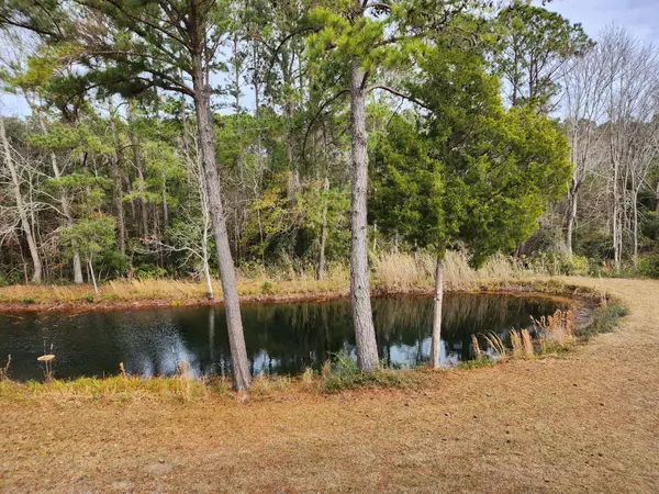 Awendaw, SC 29429,7997 Doar Rd #C-2