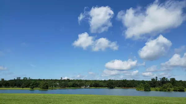 Ridgeville, SC 29472,154 Darby Meadow Ln