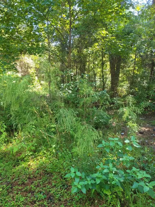 Edisto Island, SC 29438,2814 Highway 174