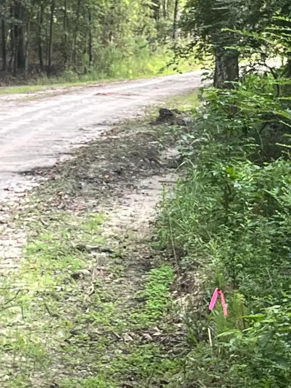 0 Snake Branch Dr, Round O, SC 29474