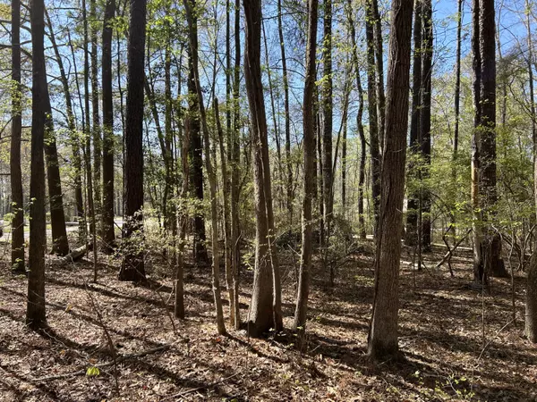 0 Ridge Rd, Cheraw, SC 29520