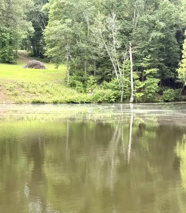 Fort Motte, SC 29135,Tbd Fort Motte Rd