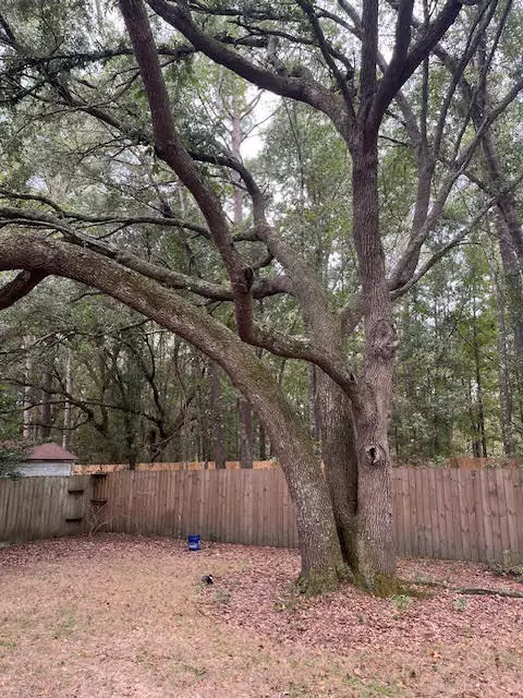 Summerville, SC 29485,209 Salterton St