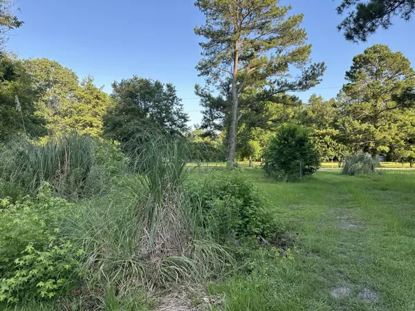 250 Lindaville Ln, Cottageville, SC 29435